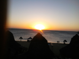 daisisar's profile picture. 