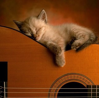 Hoshi_no_hikaru's profile picture. 