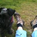 hazel ryan - @HazelHryan - Twitter