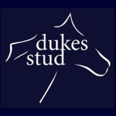 Owner of Dukes Stud, Newmarket