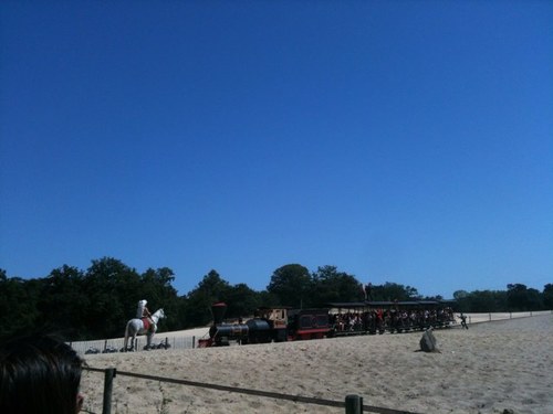 phoforjob's profile picture. 