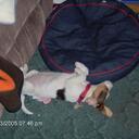 Heather Finley - @HeatherF7767 - Twitter