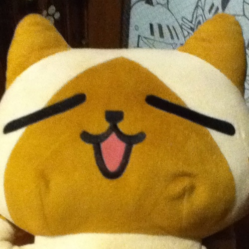 にゃんこもんぷち。20歳↑