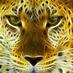 sidharth koul (@sidharth_koul) Twitter profile photo sidharth koul (@sidharth_koul) Twitter profile photo
