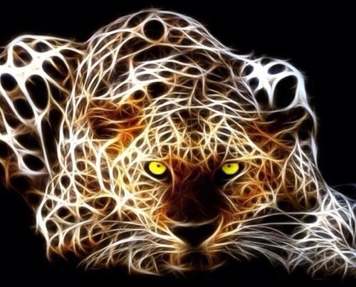 cillaluvselvis's profile picture. 