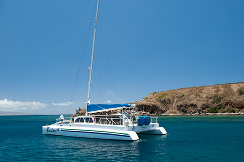 Teralani's profile picture. Maui luxury tourist activity co. featuring sailing, snorkeling, sight-seeing from catamarans, catered cruises, and seasonal whale watching. (808) 661-SAIL 7245