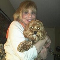 Barbara Josephson (@divabeejay) 's Twitter Profile