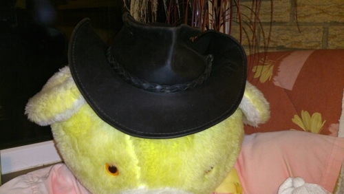 tonyshat007's profile picture. 