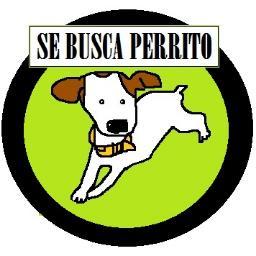 Información de perritos perdidos o en adopción.