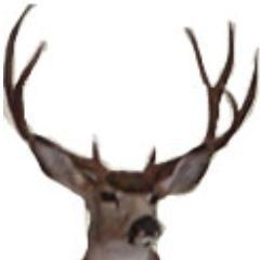 All about wild game cooking