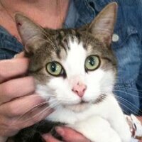 Oasis Animal Rescue (@oarec) 's Twitter Profile