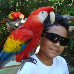 dizem que somos loucos da cabeça. amamos o cruzeiro eo que intereça nos somos loucos somos cruzeiro
