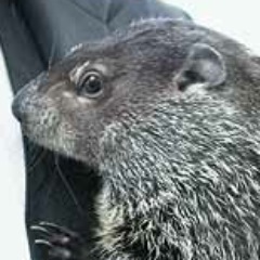 Raleigh's Hometown Groundhog - Live and Unauthorized!