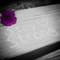 IgnoreTheFear's profile picture. We're here to help, no matter what, we won't let anyone suffer. You are not alone. ♥
http://t.co/yXBZtBO59v