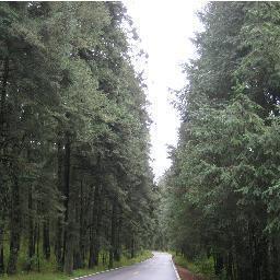 VolimteOhanoko's profile picture. 