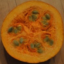 Patrick Mayer - @pat_mayer50 - Twitter