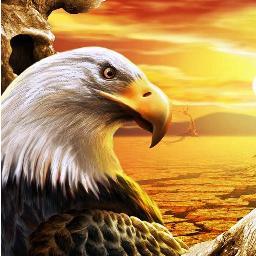 angelaenero's profile picture. 