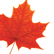Laurier Community Service-Learning provides supports to students, faculty and community to create rich learning and a strong community.