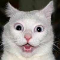 𝕮𝖆𝖗𝖑𝖔𝖘 𝕽𝖔𝖒𝖊𝖗𝖔 (@dalekamistoso) 's Twitter Profile Photo 𝕮𝖆𝖗𝖑𝖔𝖘 𝕽𝖔𝖒𝖊𝖗𝖔 (@dalekamistoso) 's Twitter Profile Photo