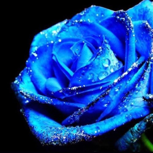 abo0d01's profile picture. 