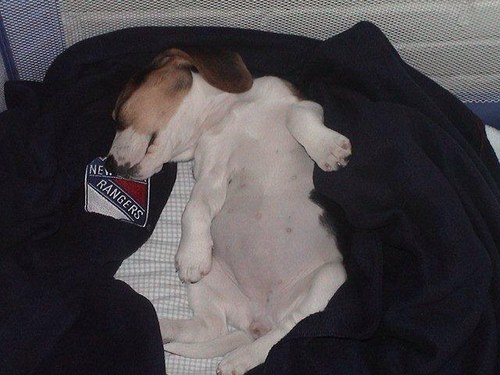 Jdsrangers's profile picture. 