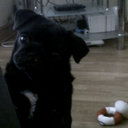 Molly parry - @mollypryde - Twitter