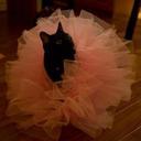 Kiera Wilkinson - @monkiera - Twitter