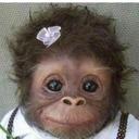 Macaria Rodríguez - @Macaria_20 - Twitter