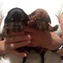 Lorraine fitzpatrick - @Lorrainefitzp14 - Twitter