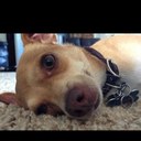 Thomas Hovis - @HovisThomas - Twitter