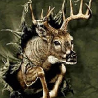 from Buffalo (hamburg) NY
