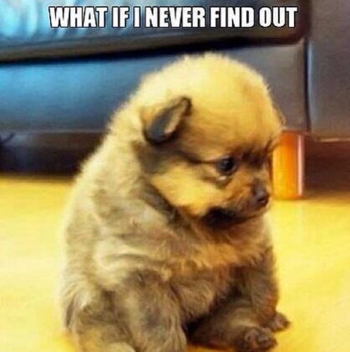 rtotheT1980's profile picture. 