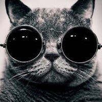 autogen (@autogen) 's Twitter Profile