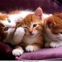 Vivian Silverio - @vivicristiane - Twitter