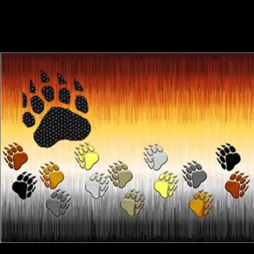 Nphbear's profile picture. nudist bear that loves travel and meeting interesting people