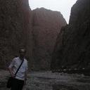 Howard Bull - @Howard_Bull - Twitter