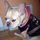 Sarah Kerley - @Efrenchbully - Twitter