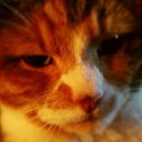 Donna Merchant - @d_merchant - Twitter