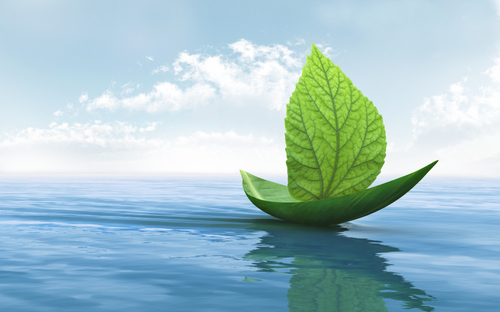 The future will bring us sustainable boats, powered by clean, renewable energy. Until that time, we check the progress.