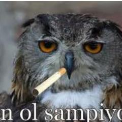 tiramisok's profile picture. Asosyal incisözlük yazarı