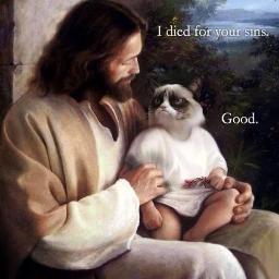 hatedaearth's profile picture. God is great
I love everything
Country rules.