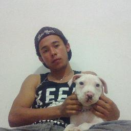 1233456 y bla bla bla