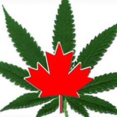 Representing all weed smokers from the West Island of Montreal