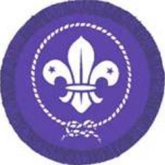 swaffhamscouts's profile picture. 