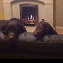 Pam - @pam51bell - Twitter