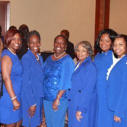 Zeta Doves Fly Above...We are a Community Conscious, Action -Oriented Organization.