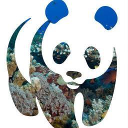 maryjesus461's profile picture. 