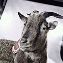 Christoph Göddertz - @Chris_Eschbach - Twitter