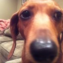 Mitch Schwartz - @Mitch0204 - Twitter