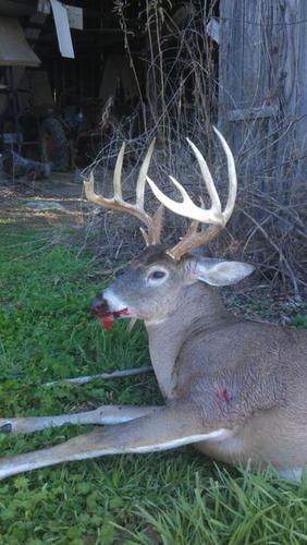 mattriss69's profile picture. 